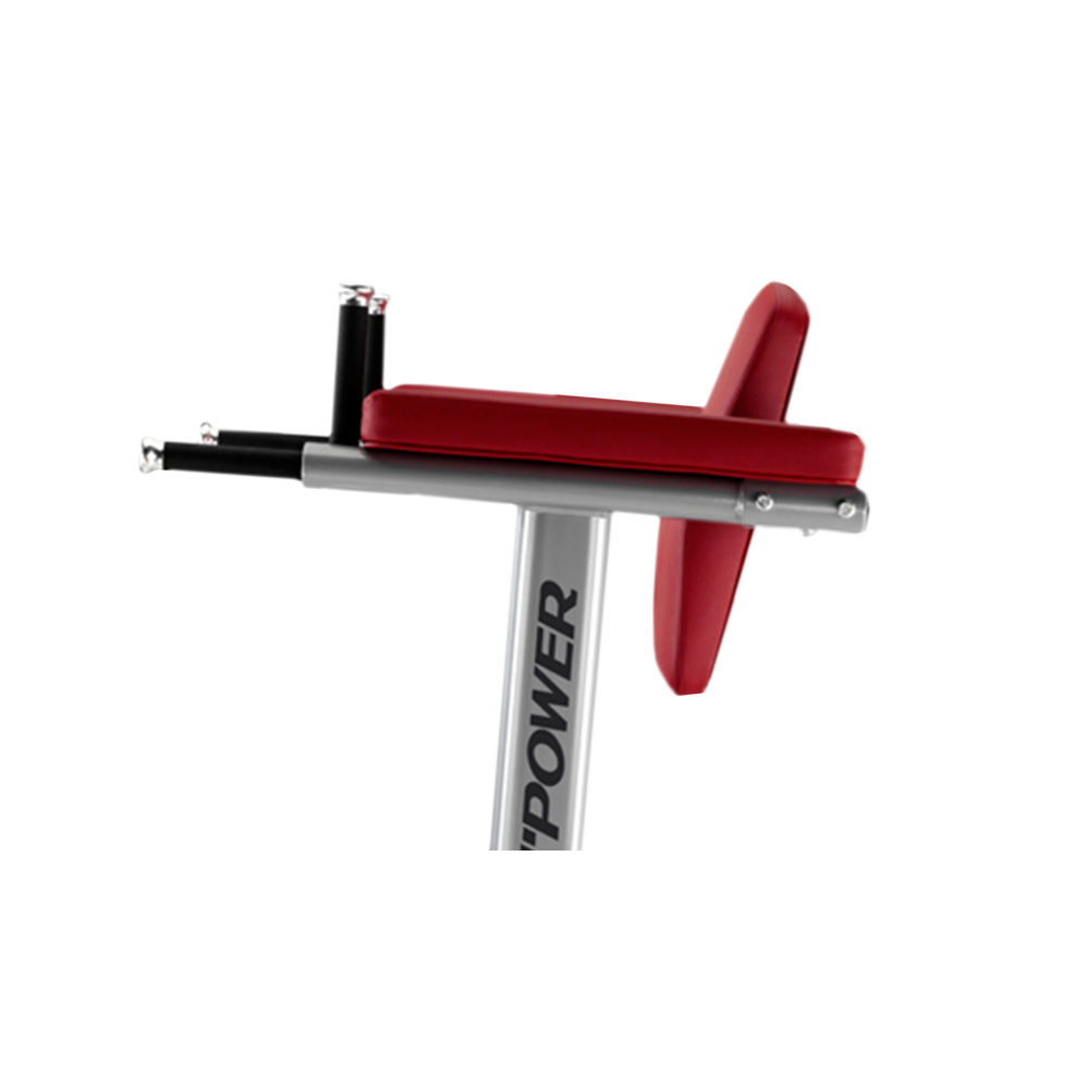 Triceps Banc banc abdo triceps bh chaise romaine bsa pro Triceps Banc banc abdo triceps bh chaise romaine bsa pro