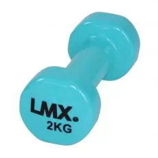 haltères Fitness 2 kg Haltères et racks BSA PRO