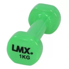 haltères Fitness 1 kg Haltères et racks BSA PRO
