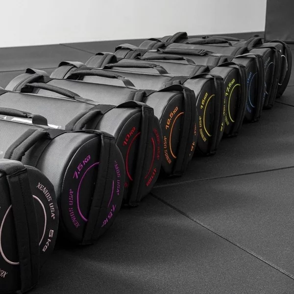 Fitness Bag 12.5 kg Xenios USA - Materiel Cross Training Xenios USA - BSA PRO