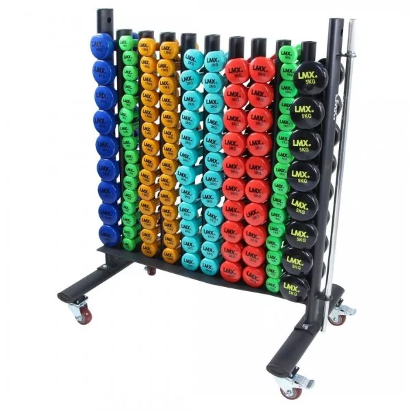Rack de rangement de 20 à 40 paires - Haltères et racks - BSA PRO