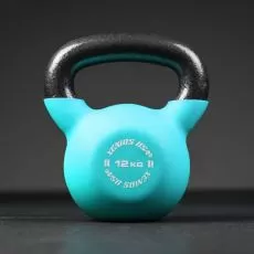 Kettlebell Fitness 12 kg Xenios USA Kettlebell et Haltere Xenios USA BSA PRO