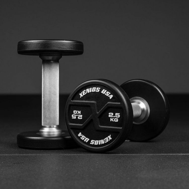 Halteres rondes 2.5 kg PU X-GRIPS Xenios USA Kettlebell et Haltere Xenios USA BSA PRO Halteres rondes 2.5 kg PU X-GRIPS Xenios USA Kettlebell et Haltere Xenios USA BSA PRO