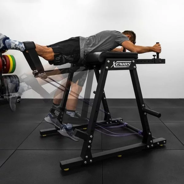 Reverse Hyper Extension Xenios USA - Box Equipement Xenios USA - BSA PRO