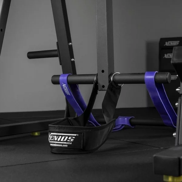 Reverse Hyper Extension Xenios USA - Box Equipement Xenios USA - BSA PRO