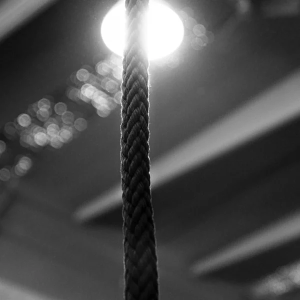 Climbing Rope cotton Xenios USA - Box Equipement Xenios USA - BSA PRO