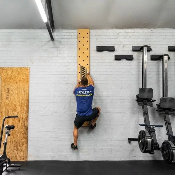 PEG BOARD 242 cm Xenios USA - Box Equipement Xenios USA - BSA PRO