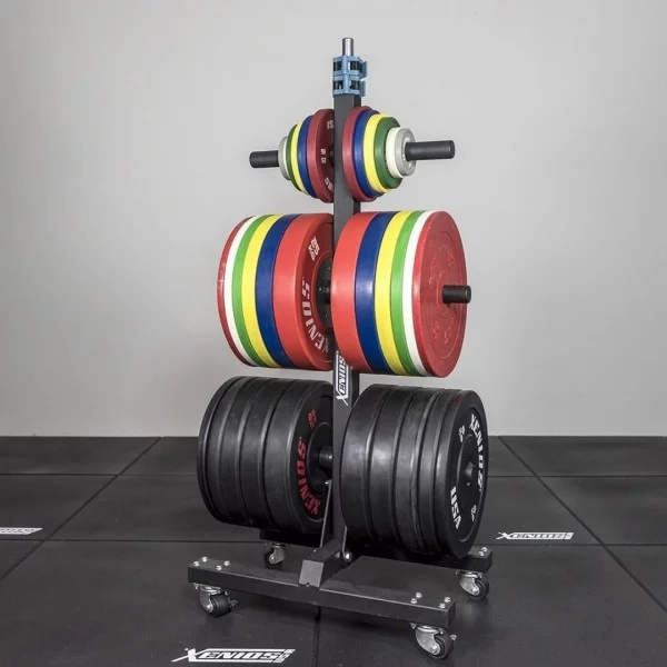 Rack vertical disques olympiques Xenios USA - Storages Xenios USA - BSA PRO