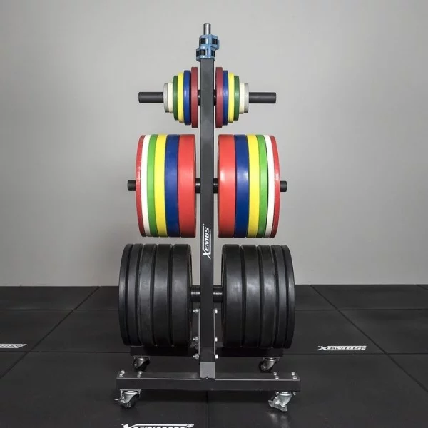 Rack vertical disques olympiques Xenios USA - Storages Xenios USA - BSA PRO