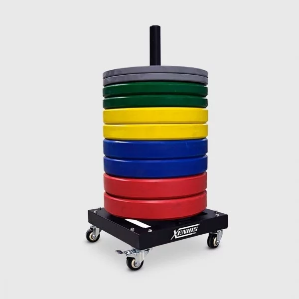 Rack Bumper Plates Xenios USA - Storages Xenios USA - BSA PRO