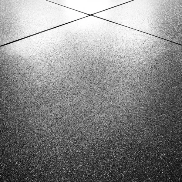 Dalle XFloor Evo Drop Xenios USA - Sol Cross Training Xenios USA - BSA PRO