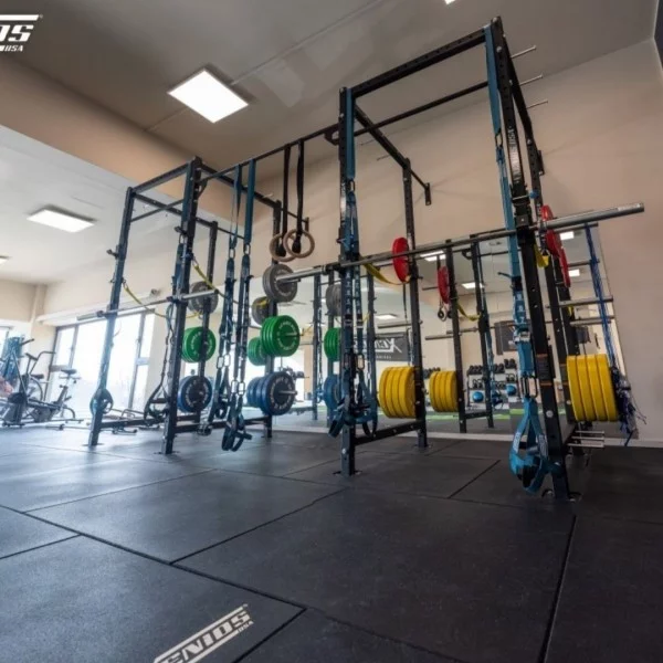 Power Lifting Rack Xenios USA - Squat Rack Xenios USA - BSA PRO