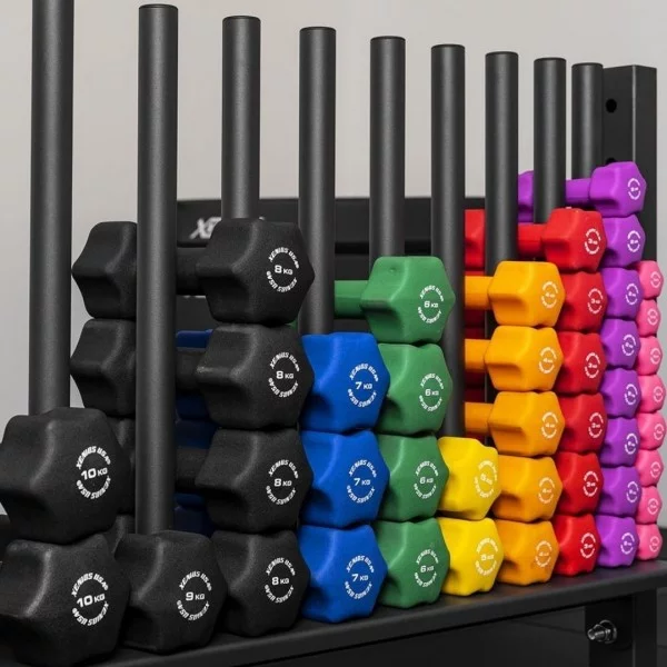 Rack Haltères Fitness Xenios USA - Storages Xenios USA - BSA PRO