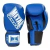 Gants compétition bleus - Gants Boxe - BSA PRO