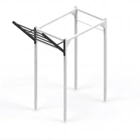 Offset Wing Ladder 120 cm Xenios USA - Elements Stations Cross training Xenios USA - BSA PRO