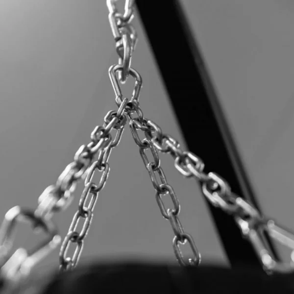 Sac de boxe 30 kg Xenios USA - Elements Stations Cross training Xenios USA - BSA PRO