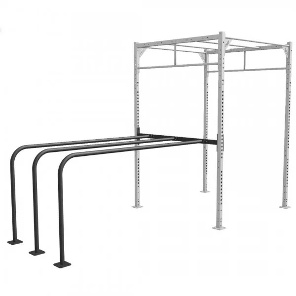 Calisthenics Double Dip Xenios USA - Elements Stations Cross training Xenios USA - BSA PRO