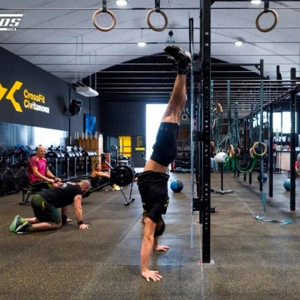 HandStand Plexi Board Xenios USA - Elements Stations Cross training Xenios USA - BSA PRO