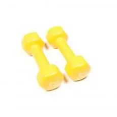 Haltères vinyl dumbbells 2 kg Haltères et racks BSA PRO