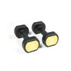 Haltères Fitness Studio 2 kg Haltères et racks BSA PRO