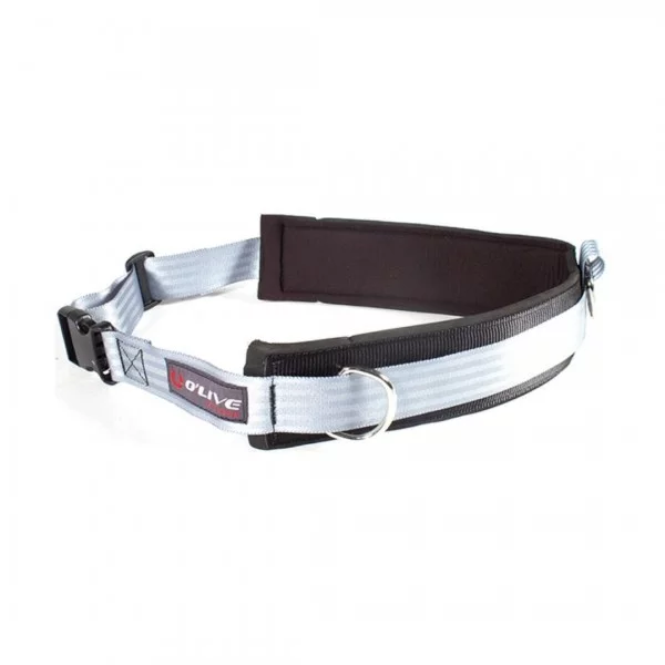 Ceinture pour résistances - Force - BSA PRO