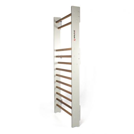 Espalier Compact 230 cm Espaliers BSA PRO Espalier Compact 230 cm Espaliers BSA PRO