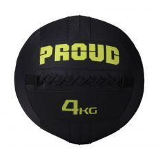 Wall Ball 4 kg Elite