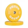 Bumper Training Set 15 kg couleur - Disques cross training - BSA PRO