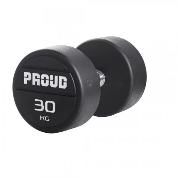 Haltères rondes Set 27.5 - 37.5 kg - Haltères de musculation - BSA PRO