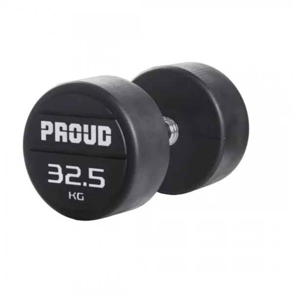 Haltères rondes Set 27.5 - 37.5 kg - Haltères de musculation - BSA PRO