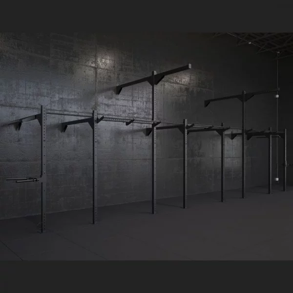Structure crossfit Elite Rig Wall 8 - Cages limited series - BSA PRO