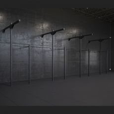 Structure crossfit Elite Rig Wall 23 Cages limited series BSA PRO