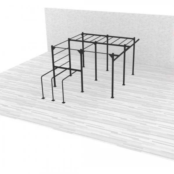 Structure Cross Training CUSTOM GYM CT03 - BSA cages Cross Training - BSA PRO