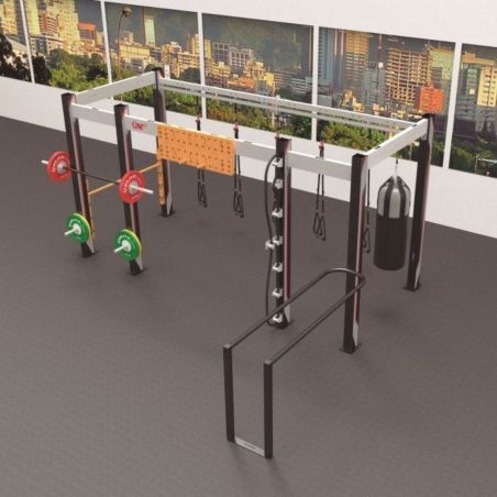 Cage Functional Training ONE+ 482 cm Cages functional training BSA PRO Cage Functional Training ONE+ 482 cm Cages functional training BSA PRO