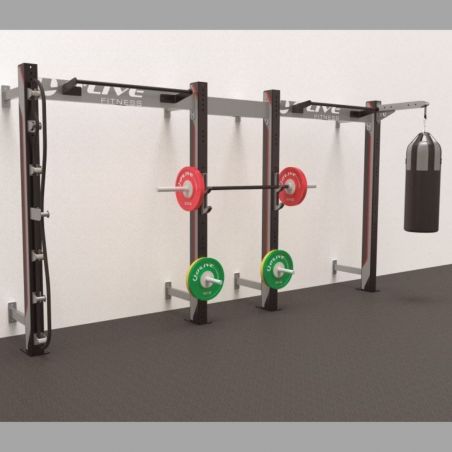 Wall Studio Functional ONE + 486 cm Cages functional training BSA PRO Wall Studio Functional ONE + 486 cm Cages functional training BSA PRO