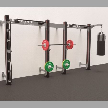 Wall Studio Functional ONE + 486 cm - Cages functional training - BSA PRO