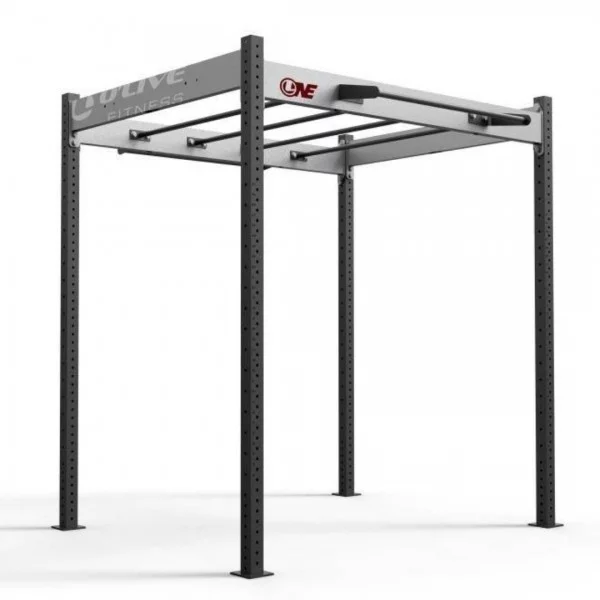 FS 100 - Cages functional training - BSA PRO