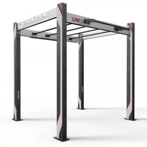 FS plus 100 - Cages functional training - BSA PRO