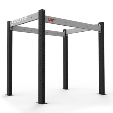 FS plus 100 - Cages functional training - BSA PRO