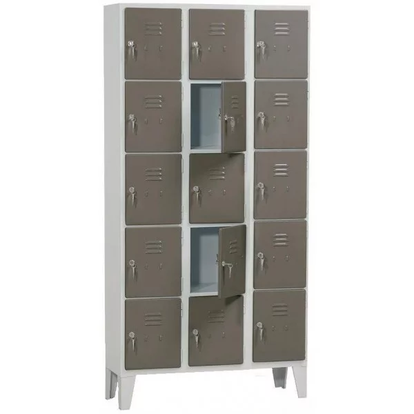 Vestiaire 15 casiers 300 mm - Vestiaires - BSA PRO