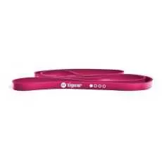 Power bands Resistances bandes BSA PRO