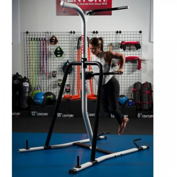 Portique avec Dip et Pull Up Century - Portique pour Sacs de boxe - BSA PRO