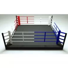 Ring de boxe 5 x 5 élevé 30 cm Rings de Boxe BSA PRO