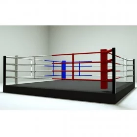 Ring de boxe 5 x 5 élevé 30 cm - Rings de Boxe - BSA PRO
