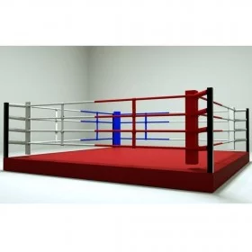 Ring de boxe 6 x 6 élevé 30 cm - Rings de Boxe - BSA PRO