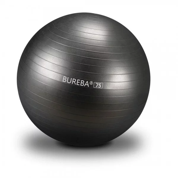 Gymball anthracite - Ballons Fitness - BSA PRO