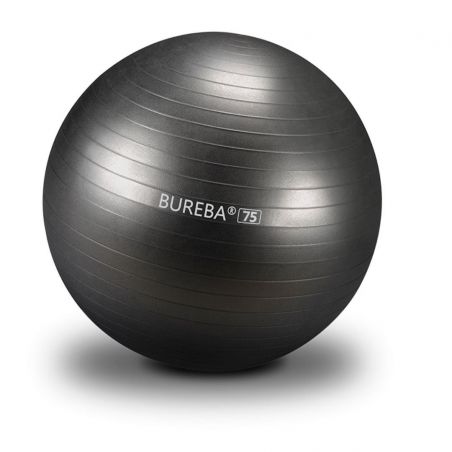 Gymball anthracite Ballons Fitness BSA PRO