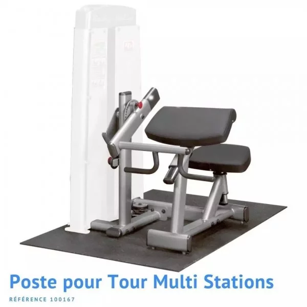 Poste Pupitre à biceps triceps Pro Dual - Multi stations - BSA PRO