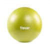 Ballon safety plus 55 cm - Ballons Fitness - BSA PRO