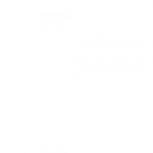 Wall Studio Functional ONE + 486 cm - Cages functional training - BSA PRO